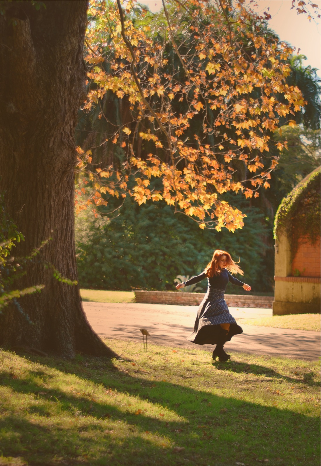 Maju in an autumn park
